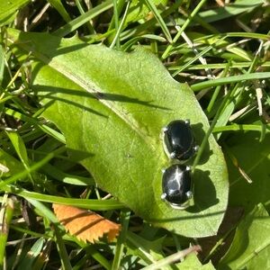 Hold for @venusroseerum B Sterling Silver Black Star Diopside Stud Earrings